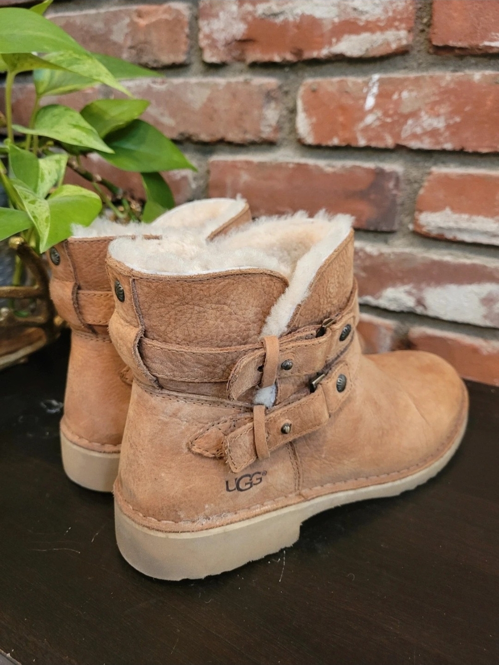 UGG Chestnut Shearling Short Boot - Picture 2 of 8